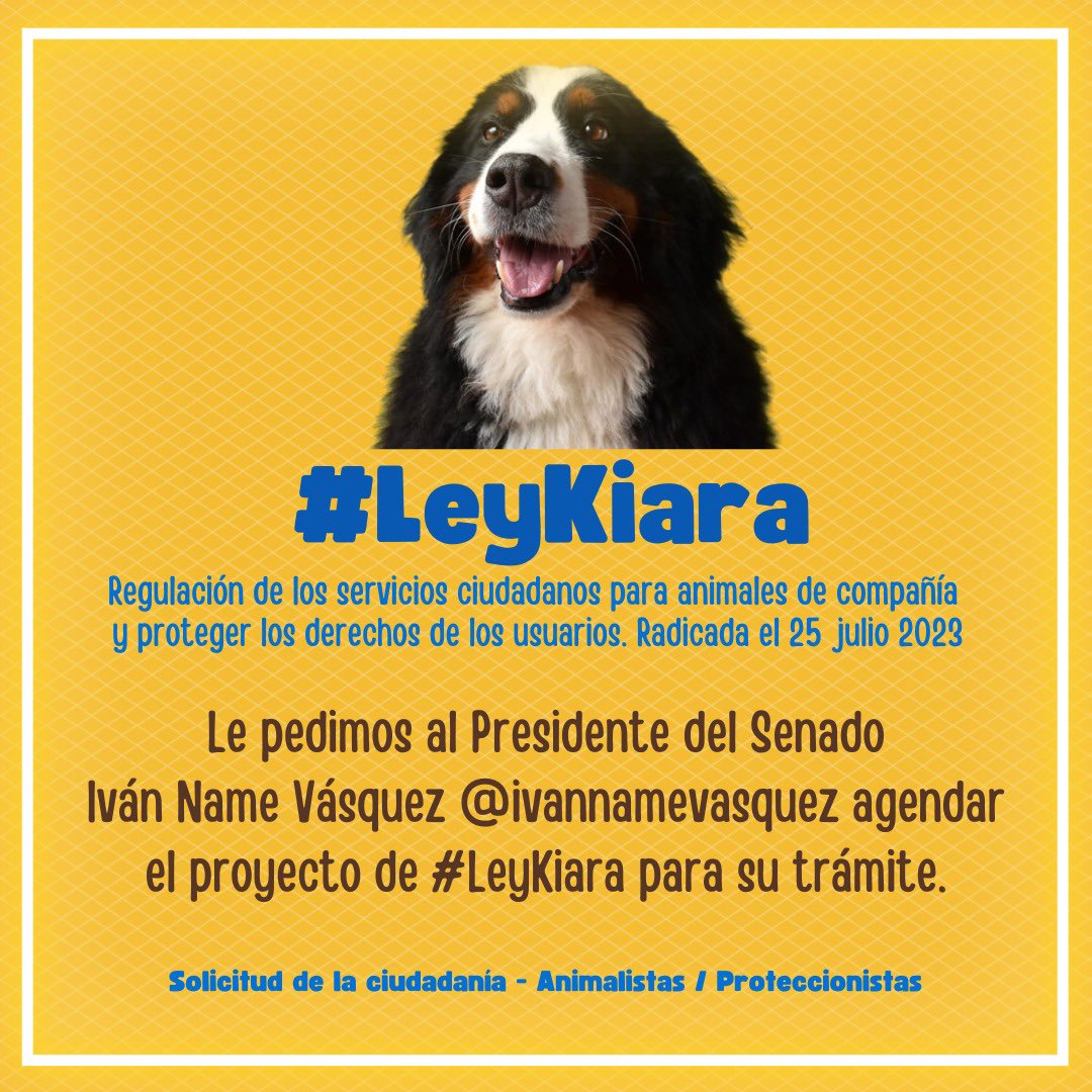 CamiloJaramill's tweet photo. Se necesita la aprobación de la #LeyKiara para evitar más casos con nuestros animalitos en colegios, guarderías, grooming y paseadores. 🆘

Proyecto presentado por @andreanimalidad  al @SenadoGovCo 🤝 

Ayuda @MONYRODRIGUEZOF @piedrahitangela @Marce_Tabares @PlataformaALTO https://t.co/N7RX5qR7CR