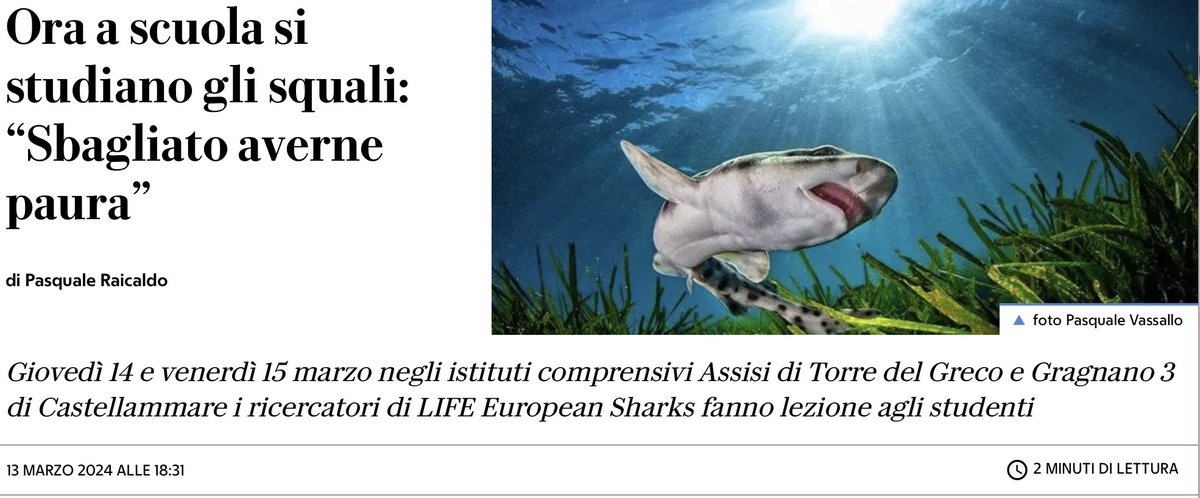 Sharkclasses near Important Shark and Ray Areas are vital to make young people love and protect their local #sharks and rays. Italy’s daily Repubblica shares our efforts in the Gulf of Naples napoli.repubblica.it/cronaca/2024/0…