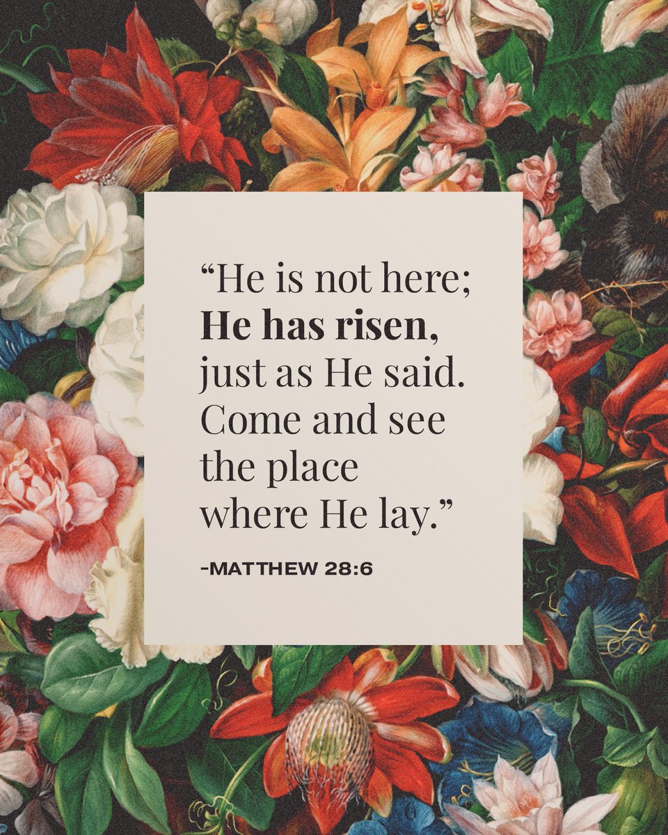 He is alive! The king is alive! There’s no body in the grave. This is the powerful message of Easter: no grave can hold our God down. And through Him, no grave can hold us either!