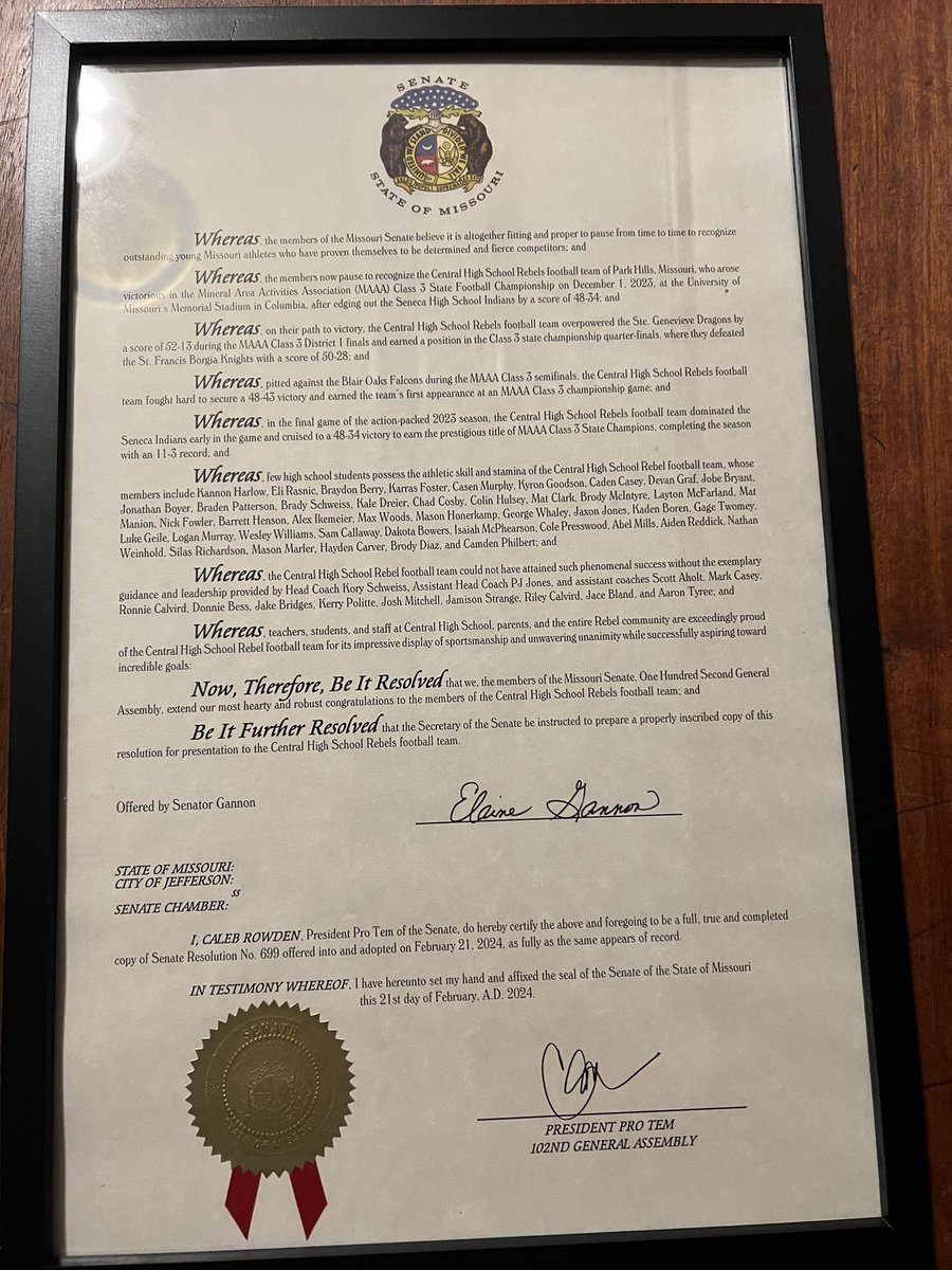 A big Thanks to Senator Elaine Gannon for hosting the Rebel Football Team and recognizing them on the Senate Floor this afternoon for the season they had.