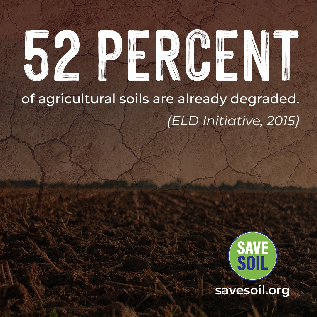 #SoilMonitoringLaw 
Let's start to manage soils in a conscious way and increase their organic content to 3-6%!
#SaveSoil @cpsavesoil #SaveSoilFixClimateChange #SoilForClimateAction @SadhguruJV @EU_Commission @Quirinale @SenatoStampa @Palazzo_Chigi @GiorgiaMeloni @FarmersGuardian