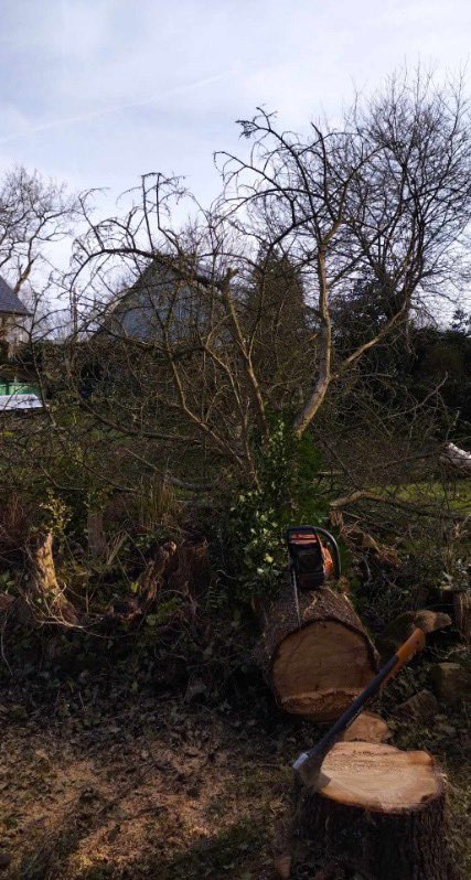TerreMerInterim's tweet photo. 🌲🪵🌿Aujourd’hui l'agence @TerreMerInterim s'est rendue sur un chantier à #fouesnant #begmeil.🌿 🪵🌲Bravo à nos bûcherons 🌳👷
.
.
#paysagiste #paysage #entreprisesdupaysage #jardin #bucheron #bretagne #finistere https://t.co/IaXyVXTI6B
