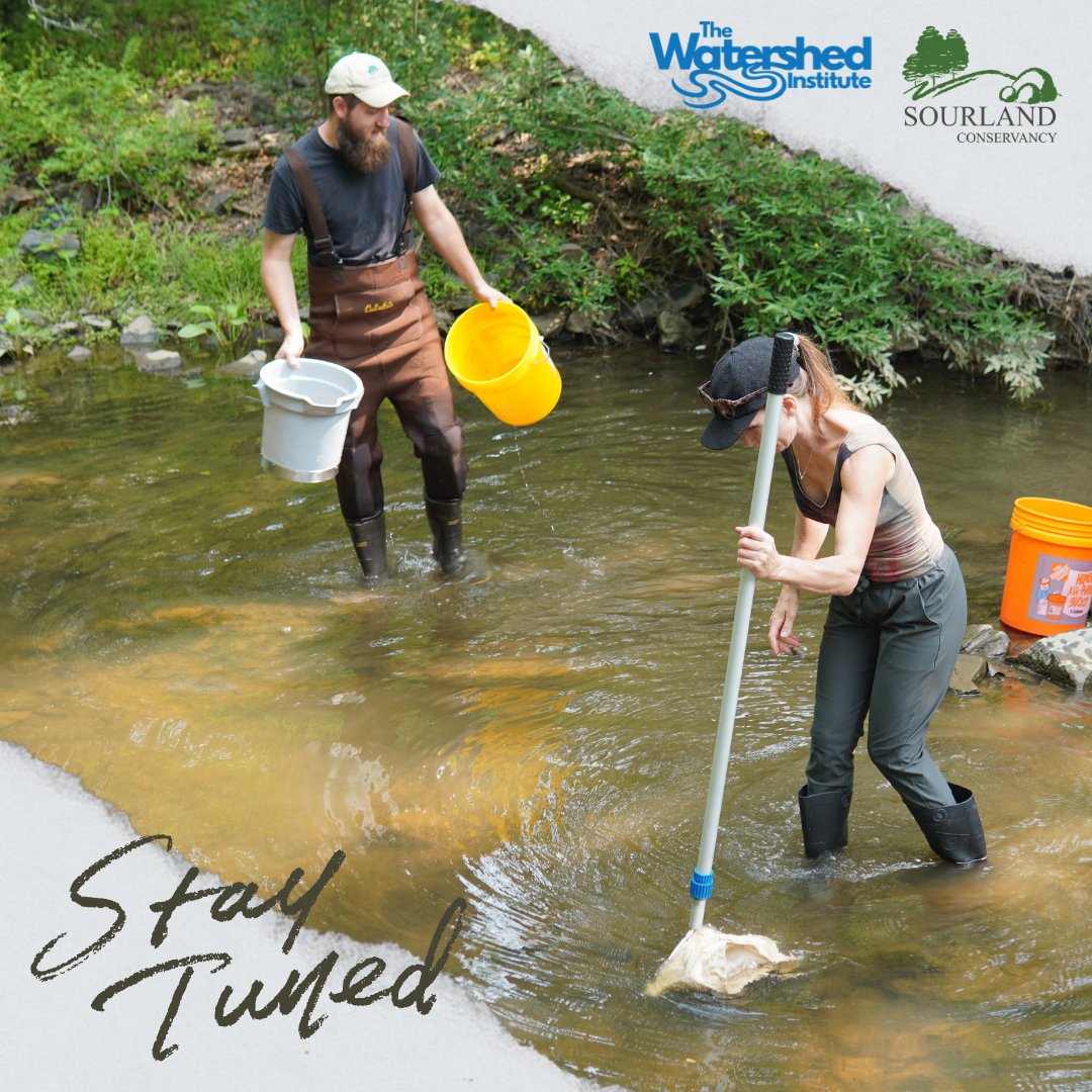 sourlandorg's tweet photo. 💧Stream monitoring is coming this Spring, in partnership with The Watershed Institute! 

Keep an eye out for further announcements. If you have any questions, do not hesitate to reach out to stewards@sourland.org

#Sourlands #SavetheSourlands #StreamMonitoring #WaterisLife https://t.co/qF0AESqeJ9