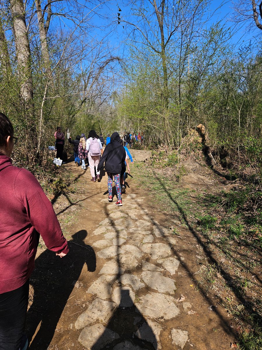 Forest View Elementary tweet media