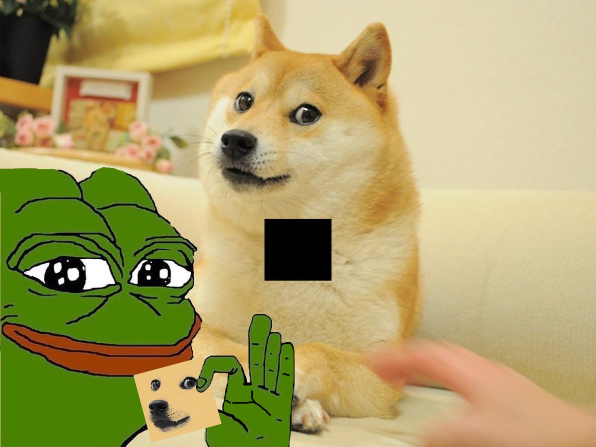 Own The Doge 🐶🖼 tweet media