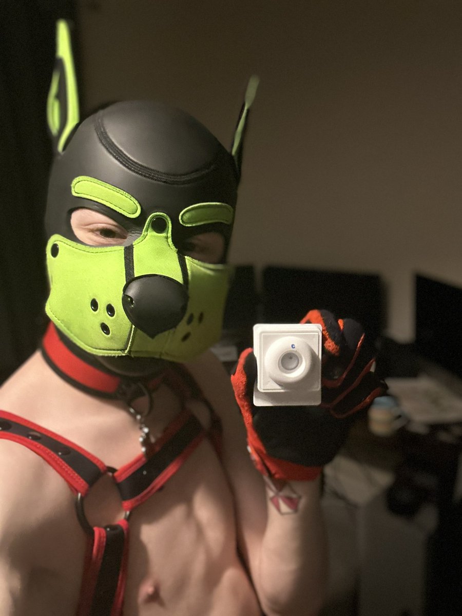 Don’t forget to stay safe and get yourself tested! 💉🐾