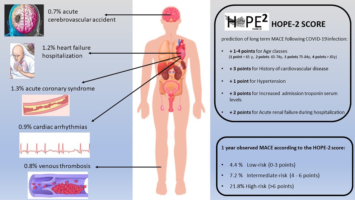 🤔Do you know that 7.8% of patients after COVID-19 hospitalization experienced MACE at one year Follow-up ❓ HOPE-2 Score can stratify long-term risk❗️ Our new manuscript on @EJIM_journal !! @ibnsky @Auribarri @italian_cot #CardioTwitter #COVID19 doi.org/10.1016/j.ejim…