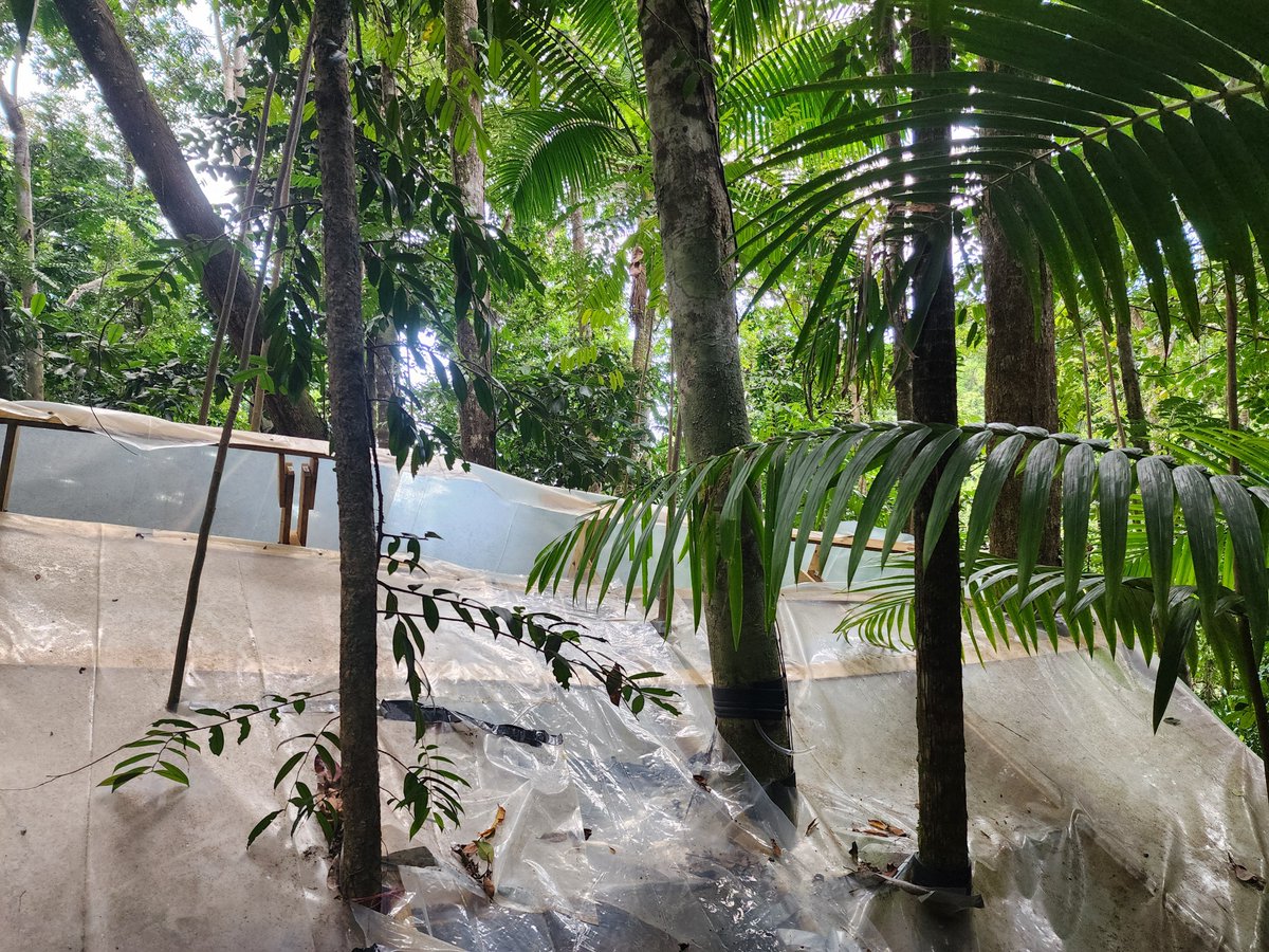 Chris M. Smith-Martin tweet media