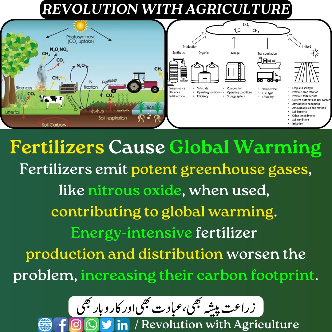 'Fertilizers Cause Global Warming' at mumerjaved.com/?p=312
#revolutionwithagriculture mumerjaved.com #Agriculture #crops l #farming #farmers #modernagriculture #FertilizerFacts
#GlobalWarmingAwareness #ClimateChange #FertilizerImpact #CarbonFootprint #ClimateCrisis