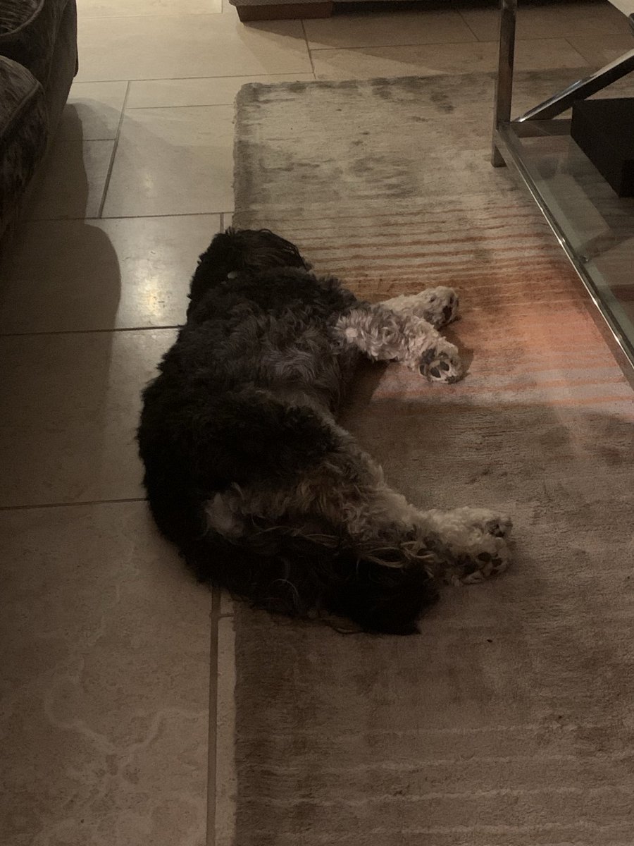 And tonight we have one pooped pup