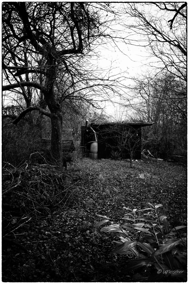 In the forest
#blackandwhitephotography #blackandwhite #blackandwhitephoto #bw #lostplace