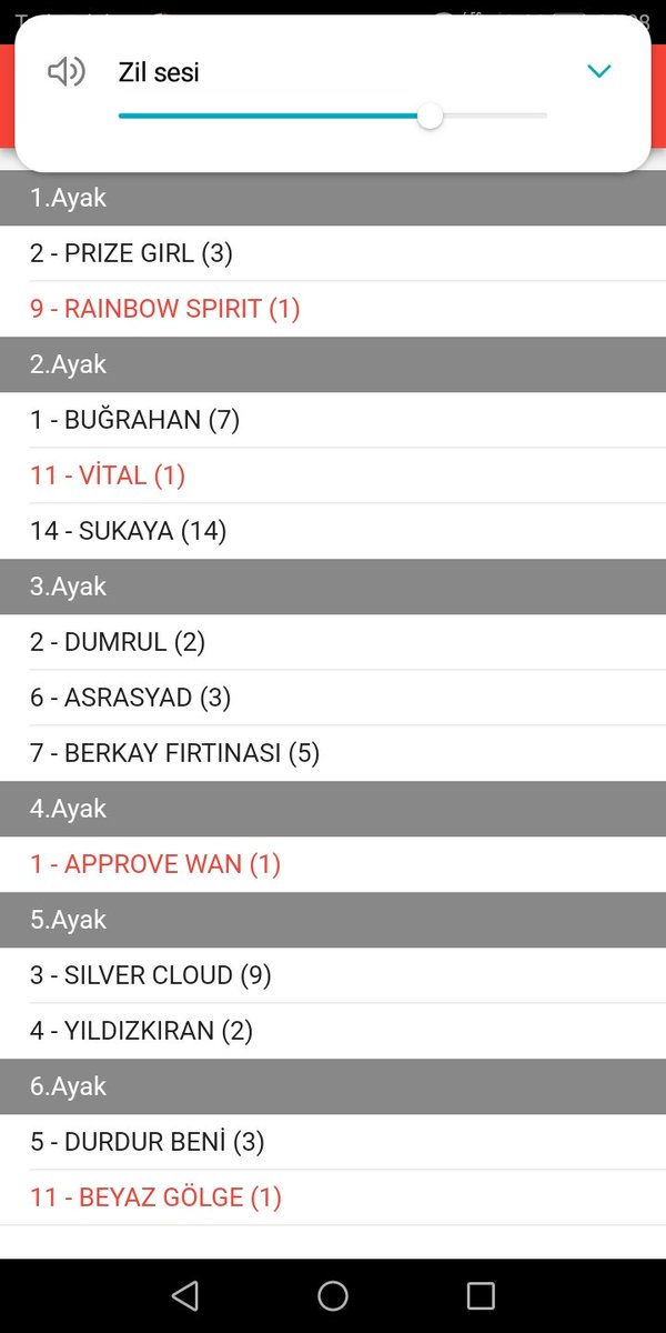 Emeklinin atları yine 2.oldu.