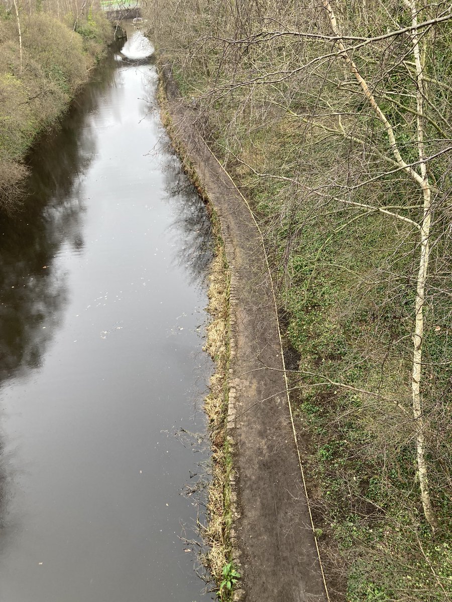 Our @CRTYorkshireNE session today at Staniforth Rd was improved by a break in the damp weather - it felt almost spring like! We prepped and edged another stretch of path towards Shirland Lane bridge. 🙏 ‘Loopers! We made progress. @RiverStewards @theoutdoorcity #sheffieldissuper