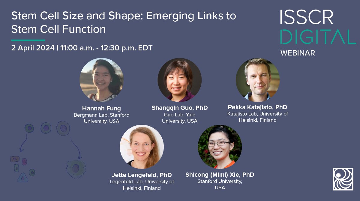 ISSCR's tweet photo. Join us for the next #ISSCRDigital webinar exploring the effects of cell size and shape on stem cell function. Join us to learn more about this cutting-edge area of research π https://t.co/V1JZNsJcR1
@CellStanford @GuoLabatYale @PekkaKatajisto @KatajistoLab @JetteLeng https://t.co/5T7RskXXnE