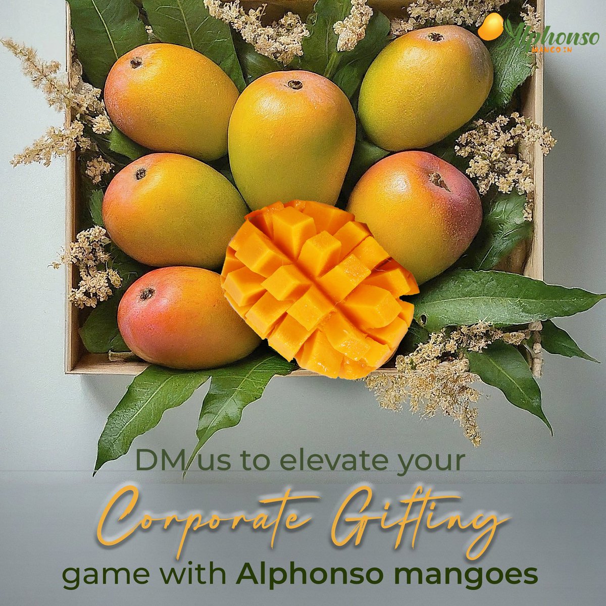 Looking for a way to impress your most valued clients, employees, and partners? Look no further than the rarest and most exquisite mangoes on Earth – the legendary Alphonso from Ratnagiri & Devgad. Each sun-kissed fruit delivers an unforgettable symphony of sweetness and