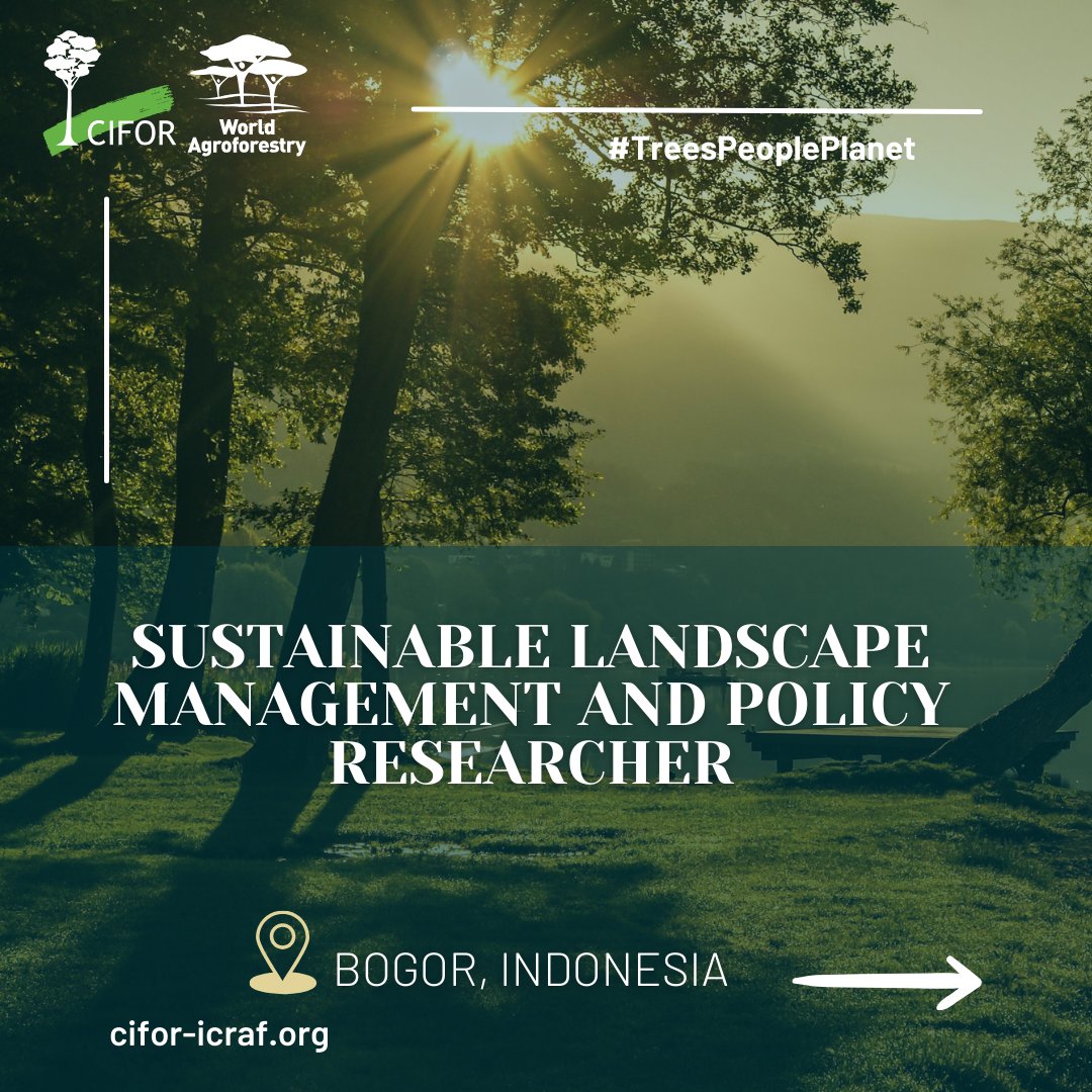 CIFOR-ICRAF is looking for a Sustainable Landscape Management and Policy Researcher. He/she will support green growth planning and other sustainable development initiatives. Duty station: Bogor, Indonesia Job details: bit.ly/3uUR9bn Apply by; 15 Mar 2024 #Jobs