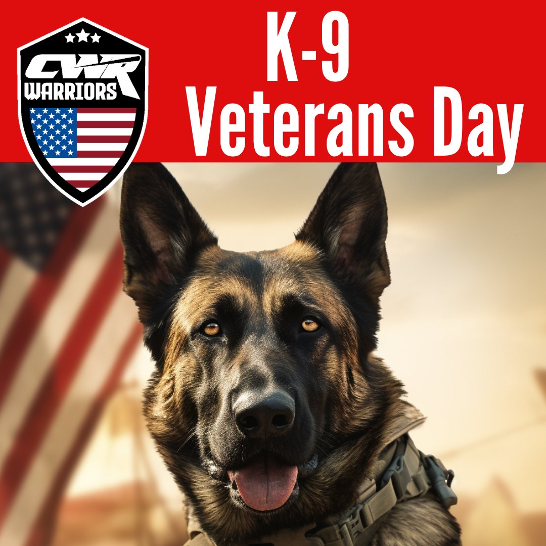 Honoring Our Furry Heroes: K-9 Veteran's Day
Join us in honoring these courageous canines by sharing your appreciation and stories of K-9 heroes in the comments below. Let's ensure they receive the recognition they deserve! #K9VeteransDay #SaluteToService #FurryHeroes #Gratitude