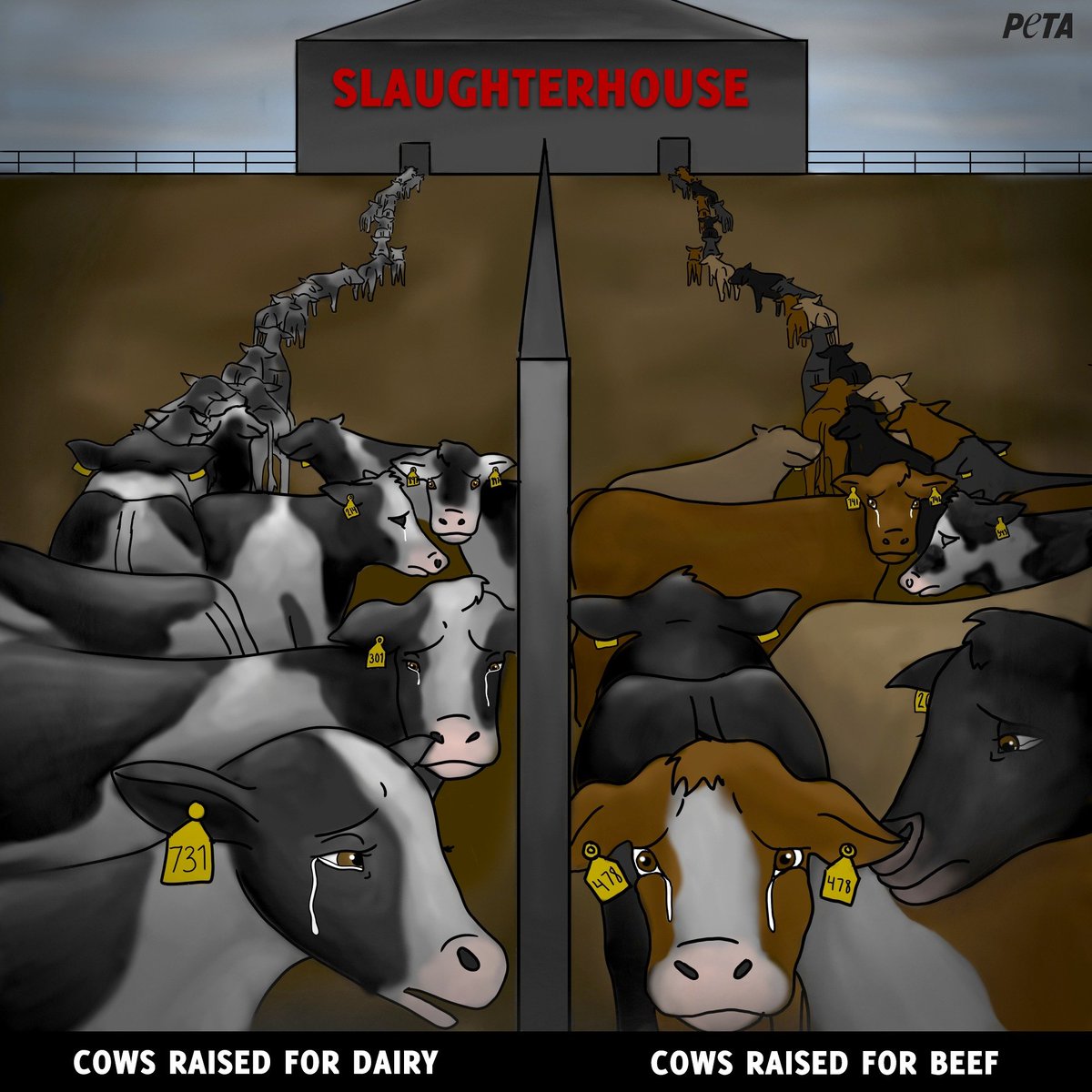 PETAUK's tweet photo. Say ɴᴏ to Cow's Milk 🚫
Say ɴᴏ to Cow's Flesh 🚫

ᴇɴᴅ ᴛʜᴇ ʜᴏʀʀᴏʀ https://t.co/2oMgv2FC93
