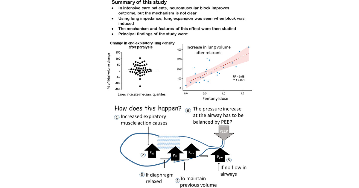 Neuromuscular Blockade Improves Results in Acute Respiratory Distress Syndrome: A Mechanism May Be Prevention of Expiratory Muscle Activity, Which Allows More Lung Expansion 🔓 Open Access 🔗 bit.ly/3uX74WH