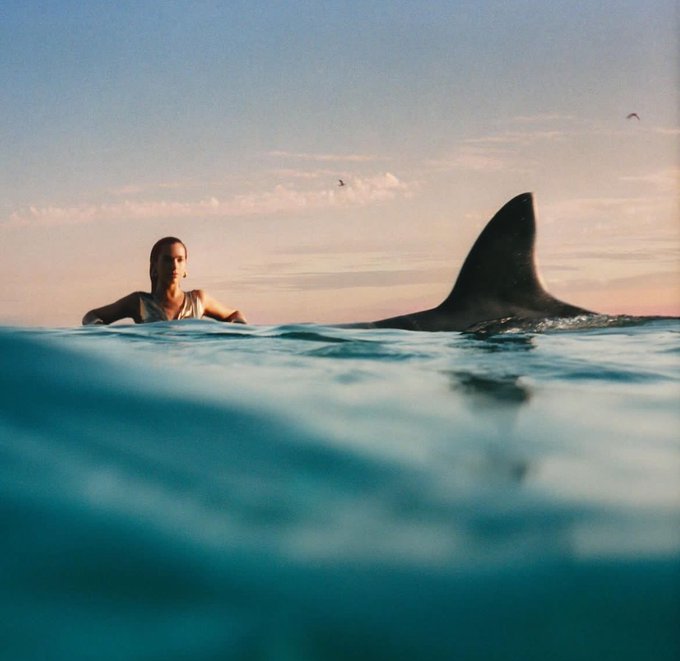 Grindr hookups:  #dualipa https://t.co/0N9RspclFT<a href="/tag/dualipa"class="tags">#dualipa</a>