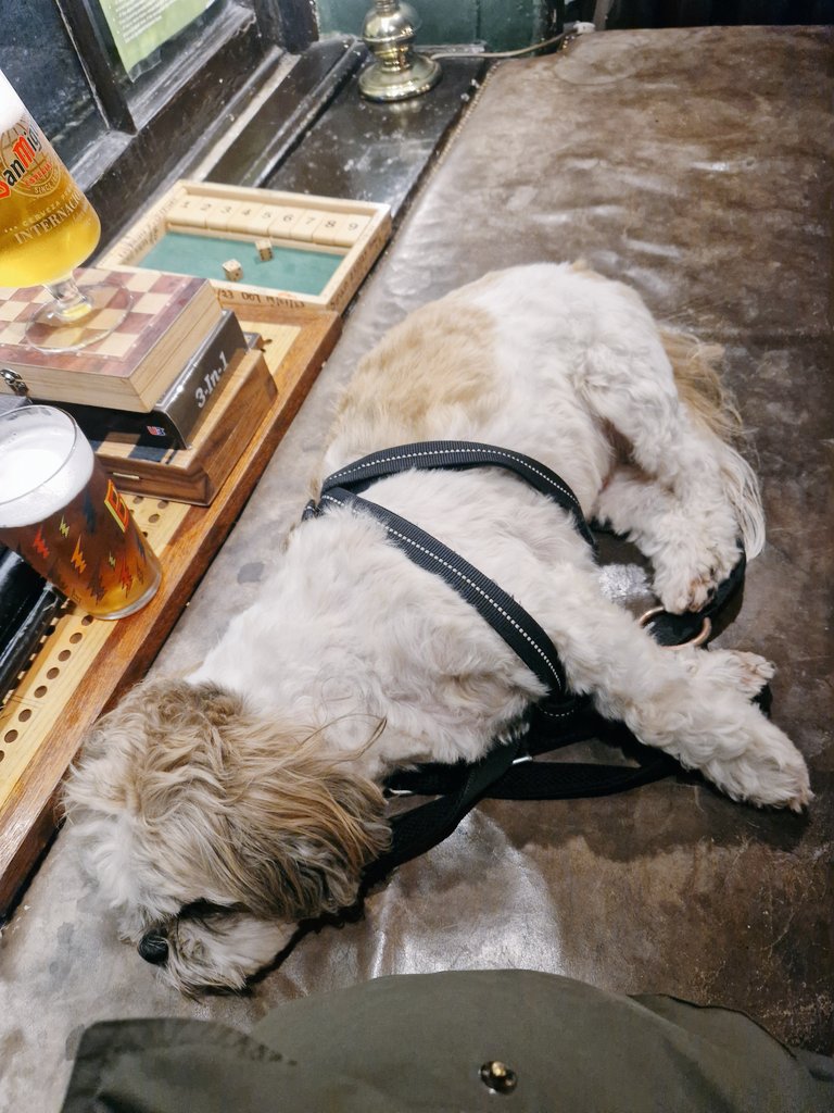 It's a hard life ....