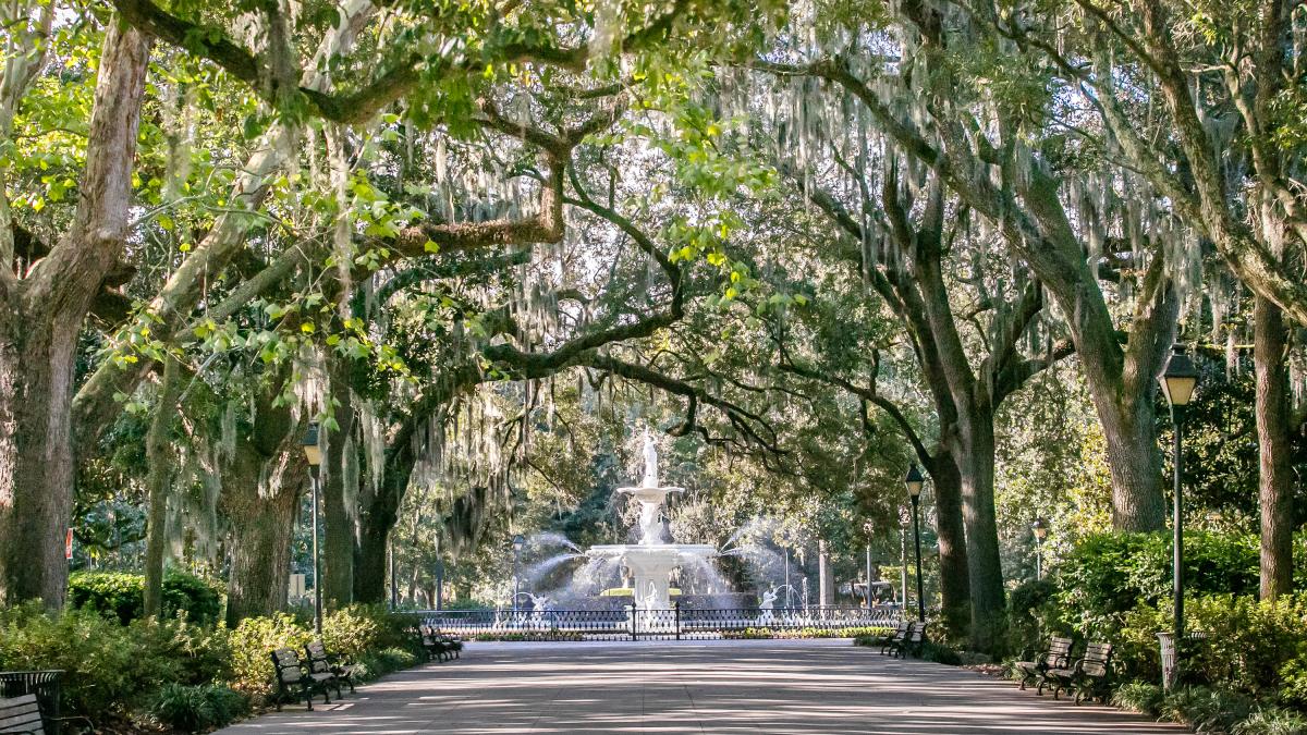 This is it! Today is the last day to register for the AAHB annual meeting. We hope to see you in beautiful Savannah, GA next month for a fantastic program on Health Communication, (Mis)Information, and Behavior.' Follow the link below to get register. loom.ly/K7mIAzU