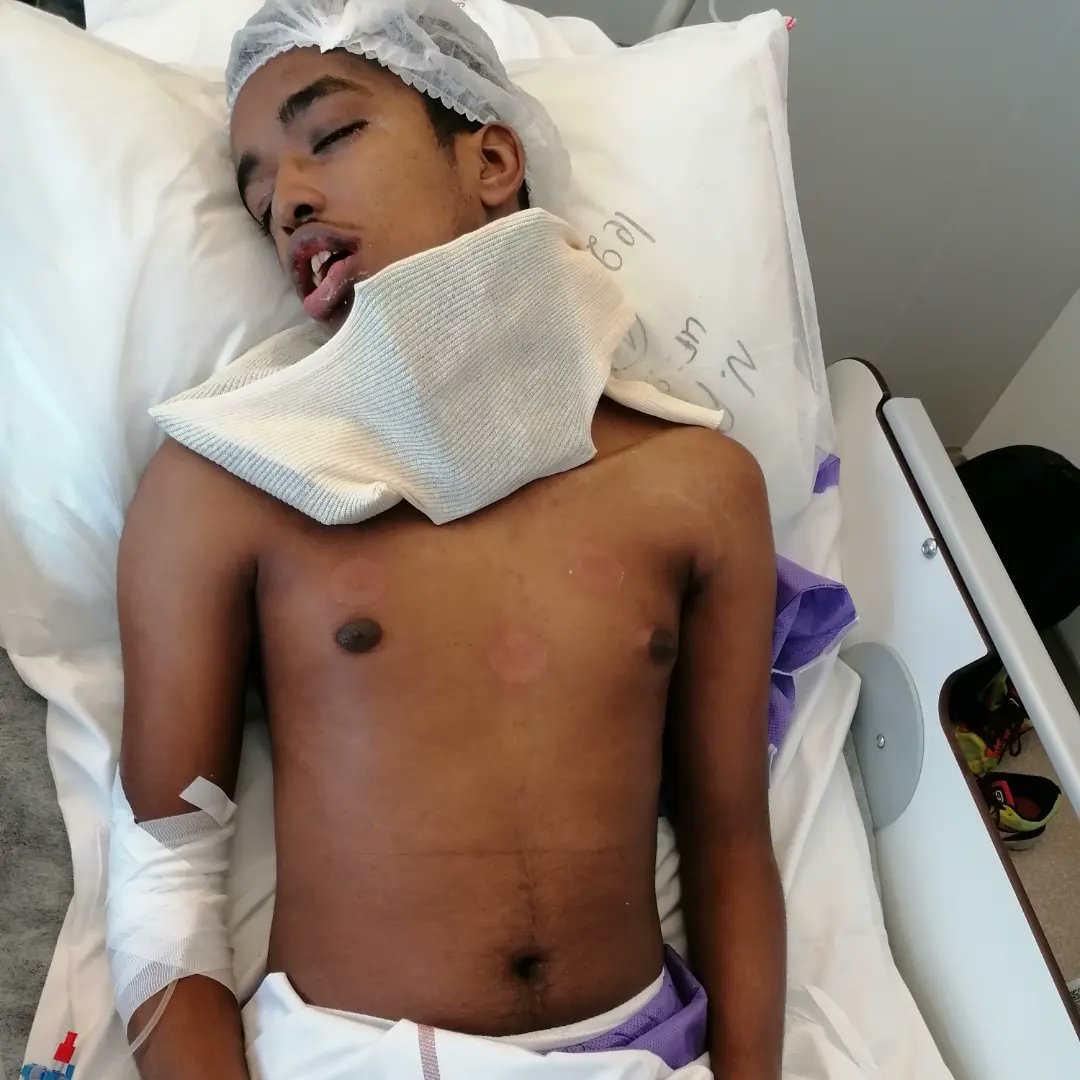 lemondedekevin3's tweet photo. Deux mois de préparations pour que tous se passe bien et voilà le résultat. Et dire qu'il faudra recommencer ? Kevin est traumatisé. https://t.co/4TSyyTmqM7