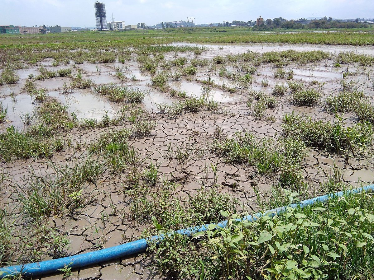 Water holds different values around the world, across borders, within communities, and amongst stakeholders. 
When different values, uses, and interests clash, #water can become a cause of conflict at different scales.