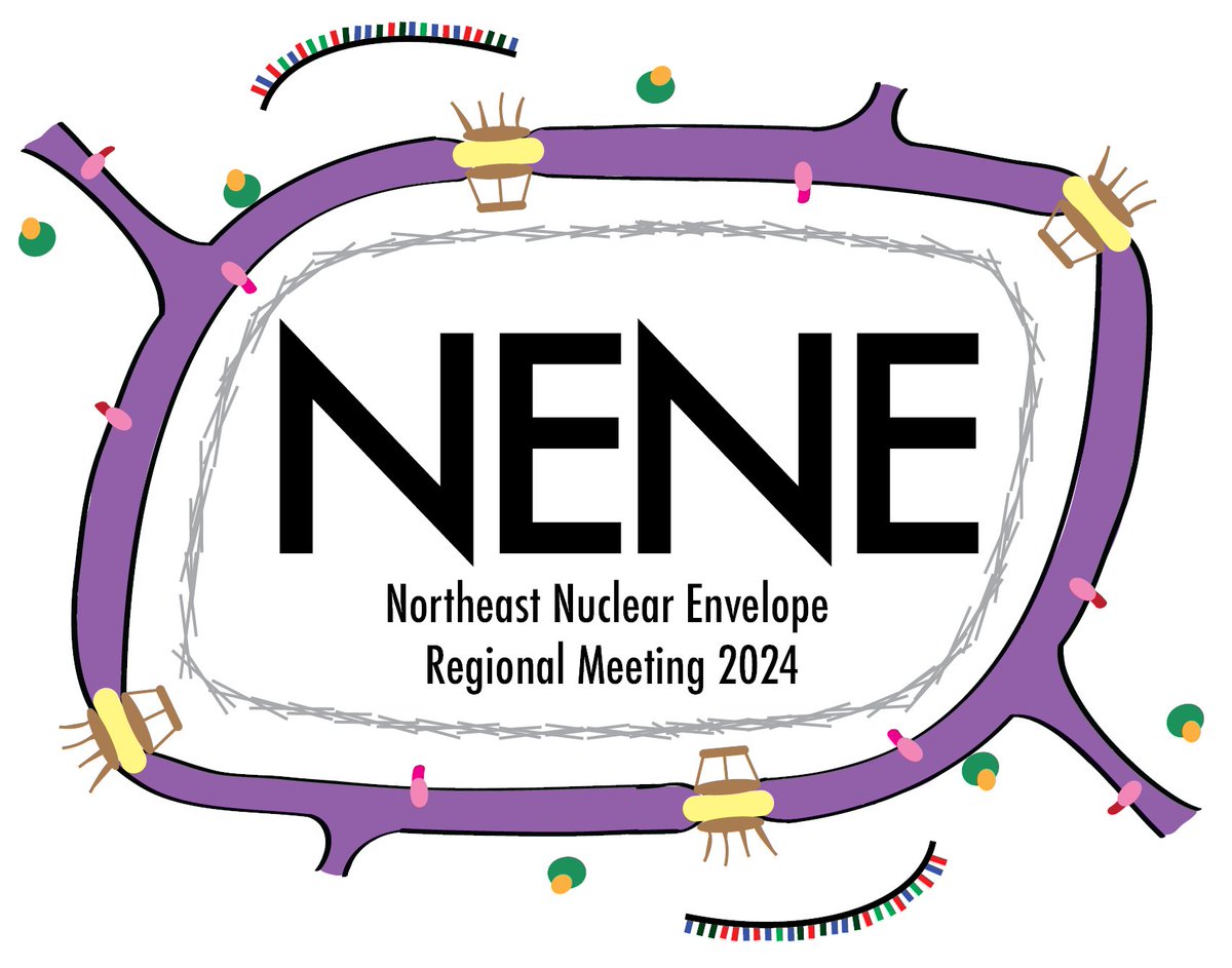 🚨Heads up: The Northeast Nuclear Envelope Regional Meeting (NENE) is May 17th at Yale University! 🚨 Get ready for some fascinating science and invigorating discussions! Keynote by @abbybuch Abstract submission April 5 sites.google.com/view/nene2024/…