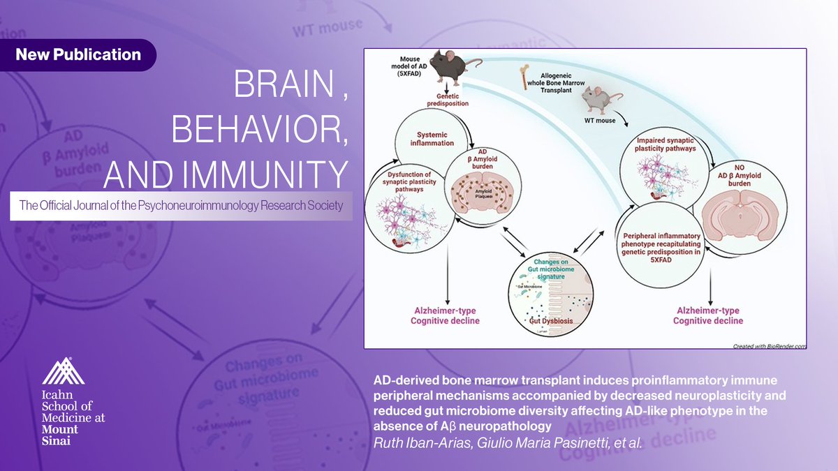 OUT NOW! CONGRATULATIONS 👏🎉 to Dr. @RuthIban-Arias, et al. on this FANTASTIC STUDY! This investigation sheds light on pivotal role of peripheral immune system in brain-gut-periphery axis & its profound potential to shape trajectory of AD. @BrainBehavImm shorturl.at/ijwKN