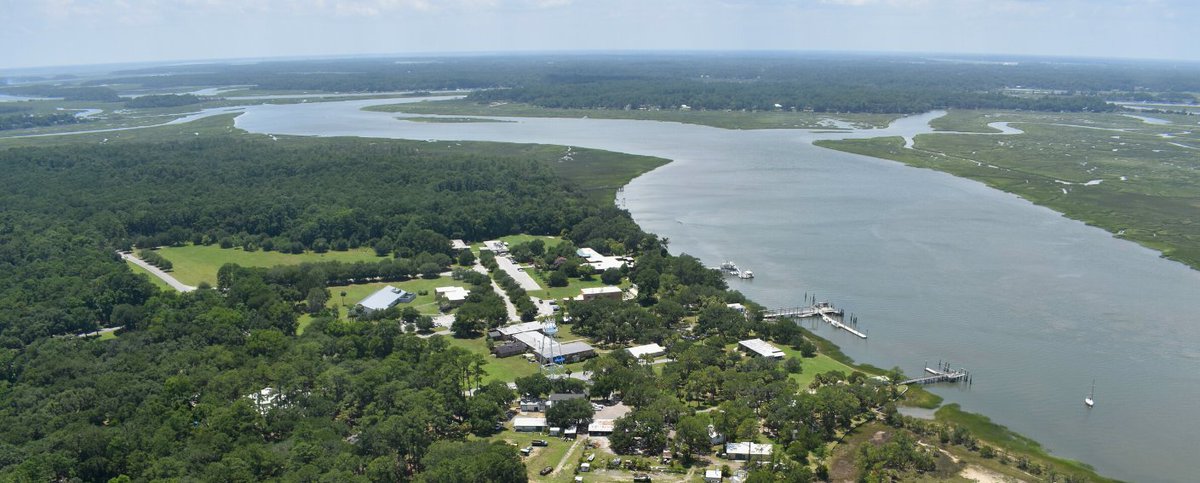 I am looking for a summer undergraduate intern to contribute to estuary sampling for HABs, mixotrophy identification, and phytoplankton culturing! Paid position with housing available in Savannah! Applications are open #REU #marinescience #oceanography skio.uga.edu/undergraduate-…