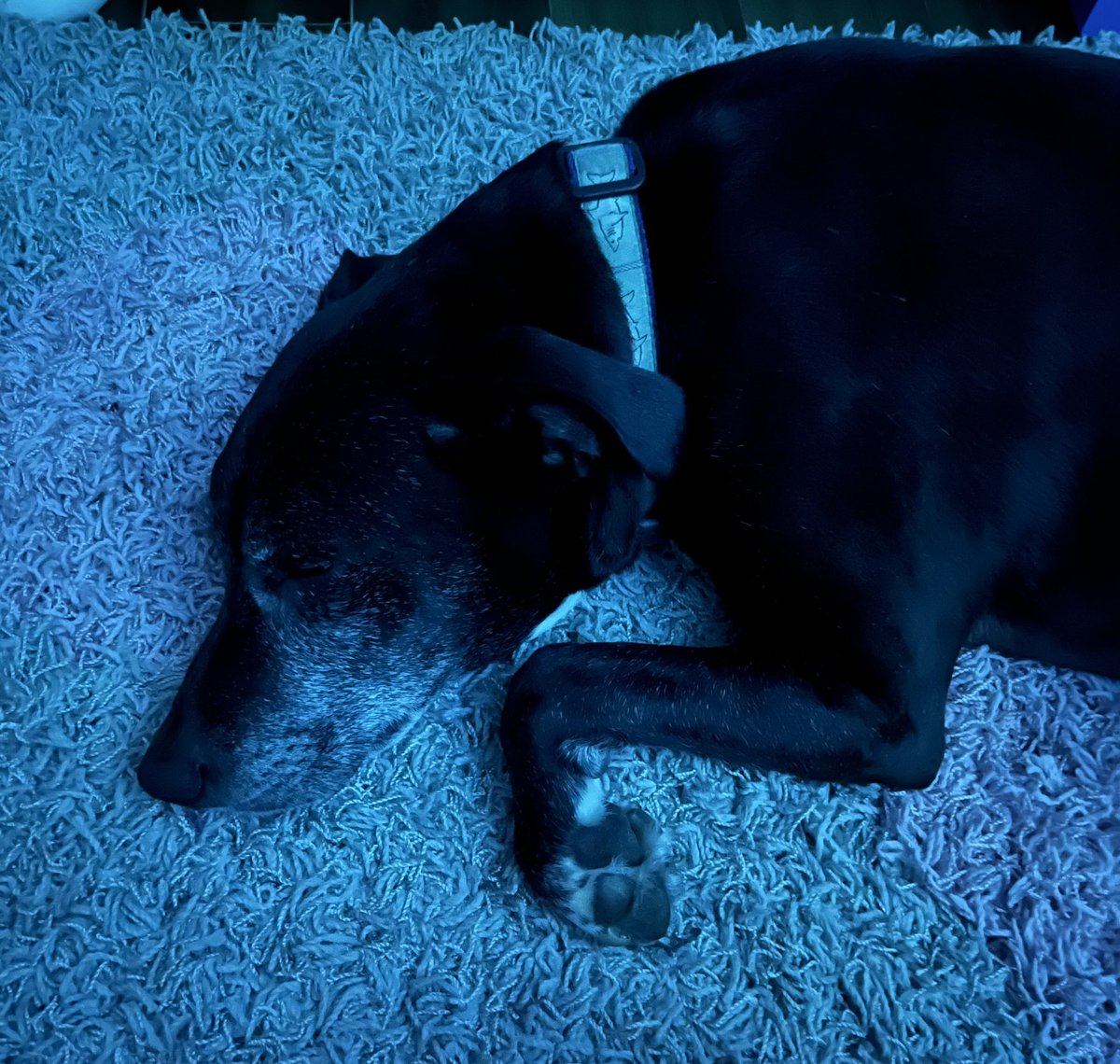 Constance DuFour tweet media