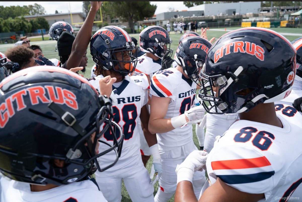 Owl Family 

#BlueCollarOwlStandard #CHouse #CitrUS #TheNest🦉🦉🦉