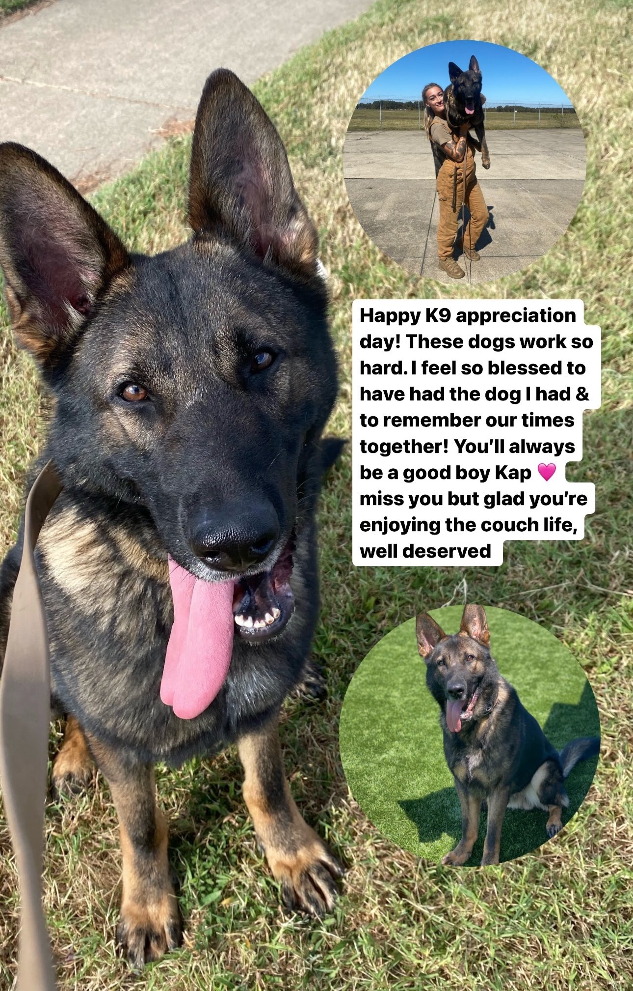 The happy k9 2025