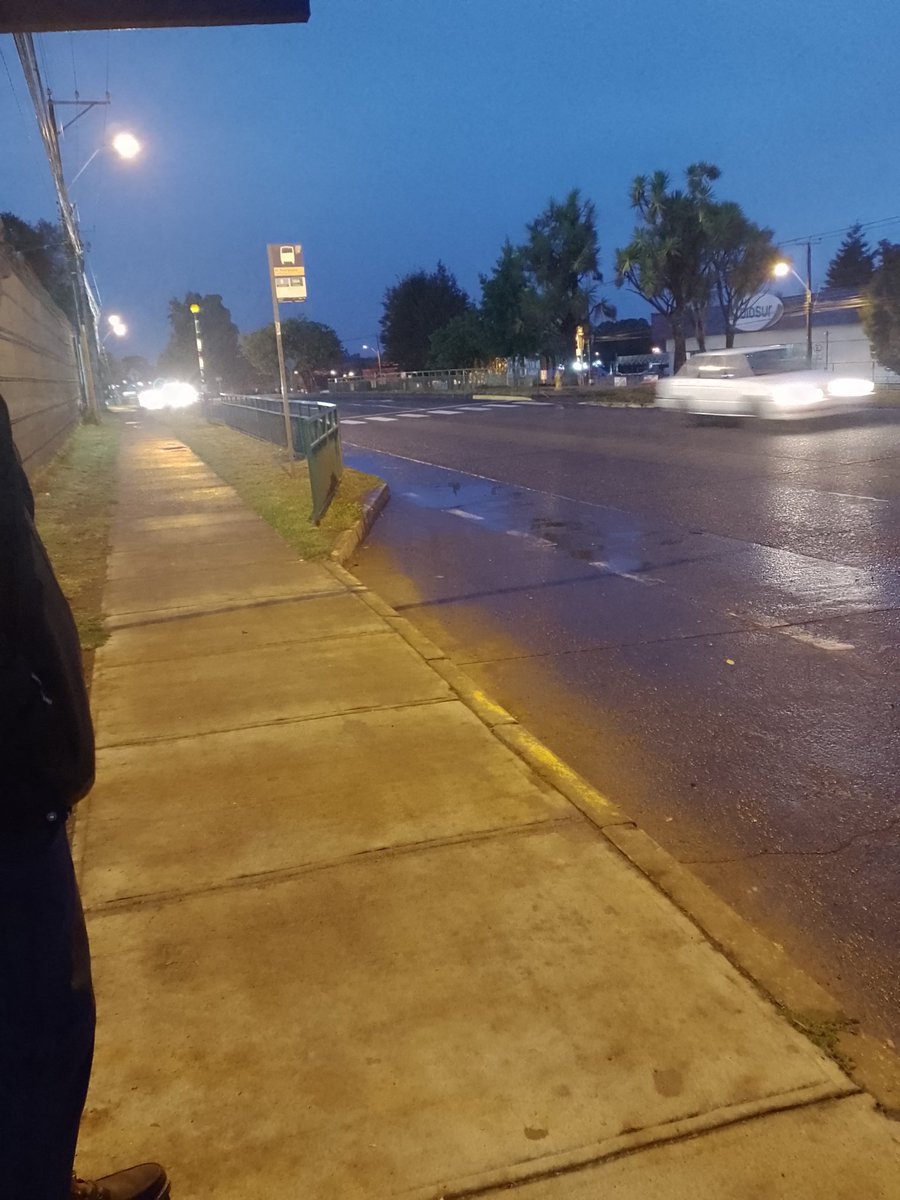 catalan_andrea's tweet photo. #importante 🚨cada mañana decenas de osorninos arriesgamos nuestras vidas al intentar cruzar el #pasocebra de #ReneSoriano frente a #Sodimac no lo respetan en ningún sentido, quizá no esta bien señalizado o falta iluminación @OsornoCentral @paislobo @muni_osorno #Osorno https://t.co/6acJbNB7wO