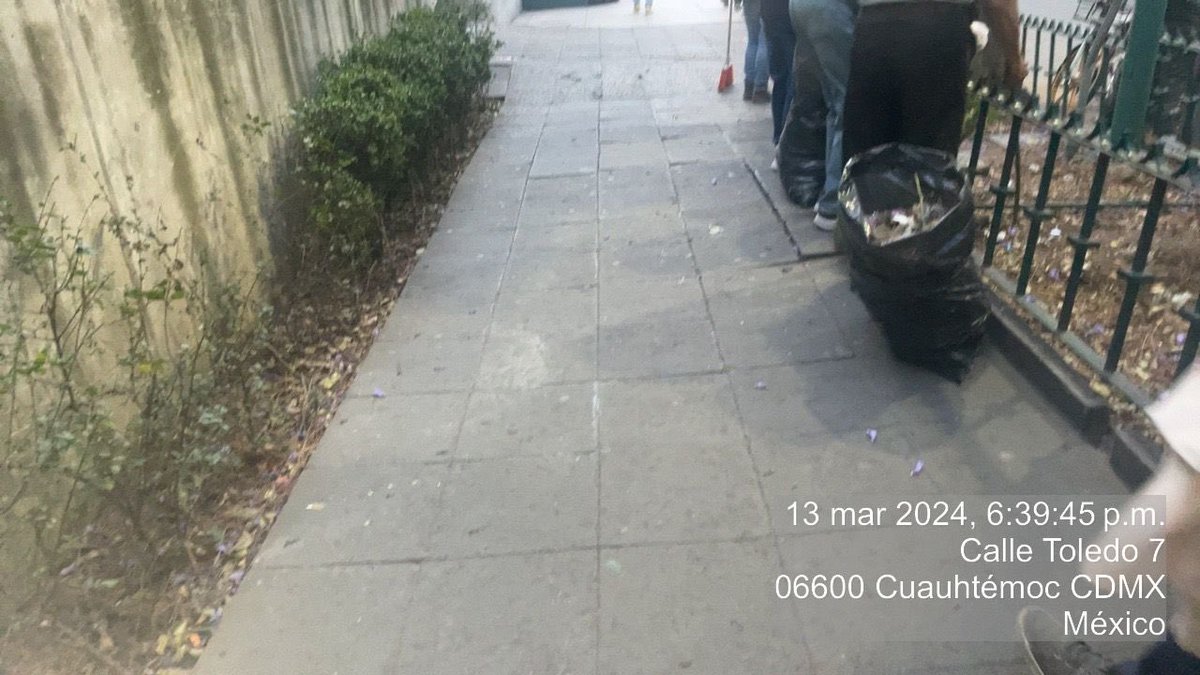 AlbertoZam10865's tweet photo. @YoCuauhtemoc @Tu_IMSS @AlcCuauhtemocMx @LaColoniaJuarez @Comitejuarez @JuarezRescate @VecinoJuarezDF De hecho el IMSS y ecobicis son los que deberían de atender esas jardineras sin embargo ya se atendió por parte de la @AlcCuauhtemocMx https://t.co/rh8KSydCHz