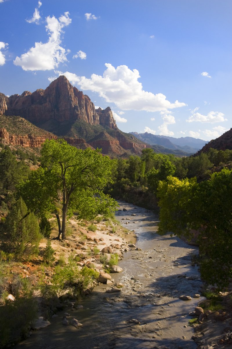 Is 2024 the year you visit Zion National Park? Stay inside the park with us when you book at zionlodge.com.

#ZionLodge #ZionNationalPark #VisitUtah #XanterraTravel