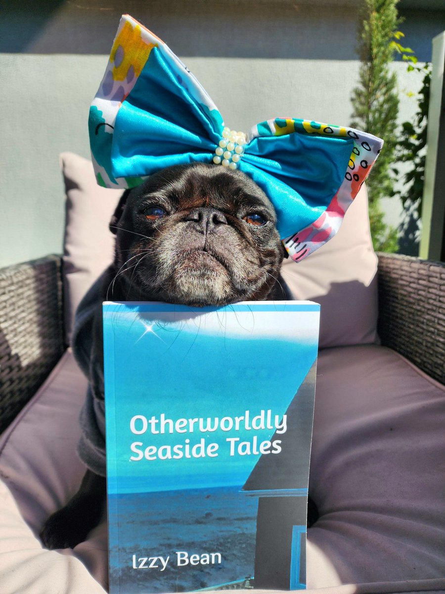 The coordinator for the annual upcoming Ghost Conference bought my book from my friend's treasure shop! 👻👻👻
Tatum @ScribblePug highly recommends it, too! 💙🐾🐾
#ghoststories #books #Supernatural