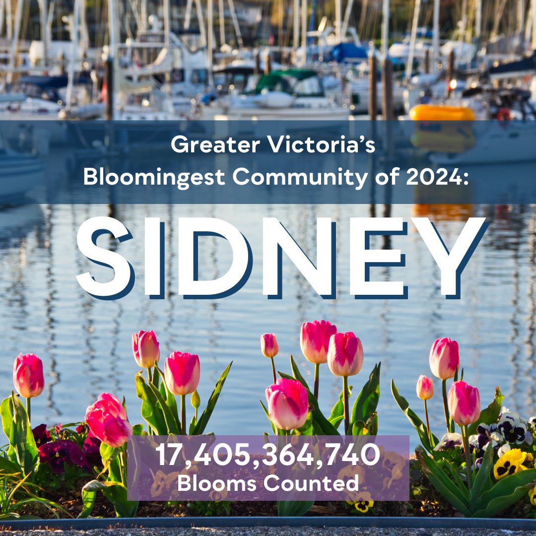 Greater Victoria Flower Count tweet media