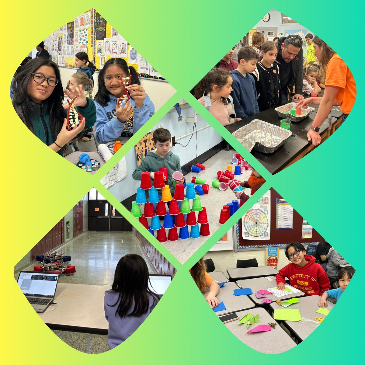 Marguerite Spriggs tweet media