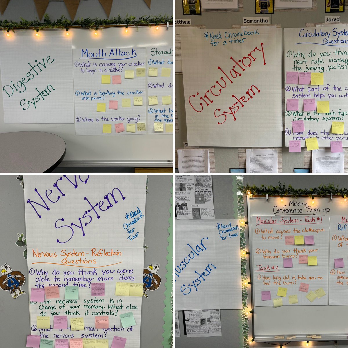 santana6thgrade's tweet photo. Science lab day: what are the various functions of the body systems? Students explored each subsystem to discover how they interact with one another! @PomonaUnified @ArmstrongPUSD @2KatShoPUSD #PUSDdoesscience https://t.co/fZ9lXrbR0V