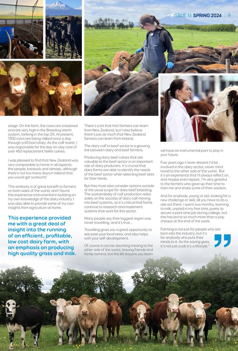 Sarah 🐄 tweet media