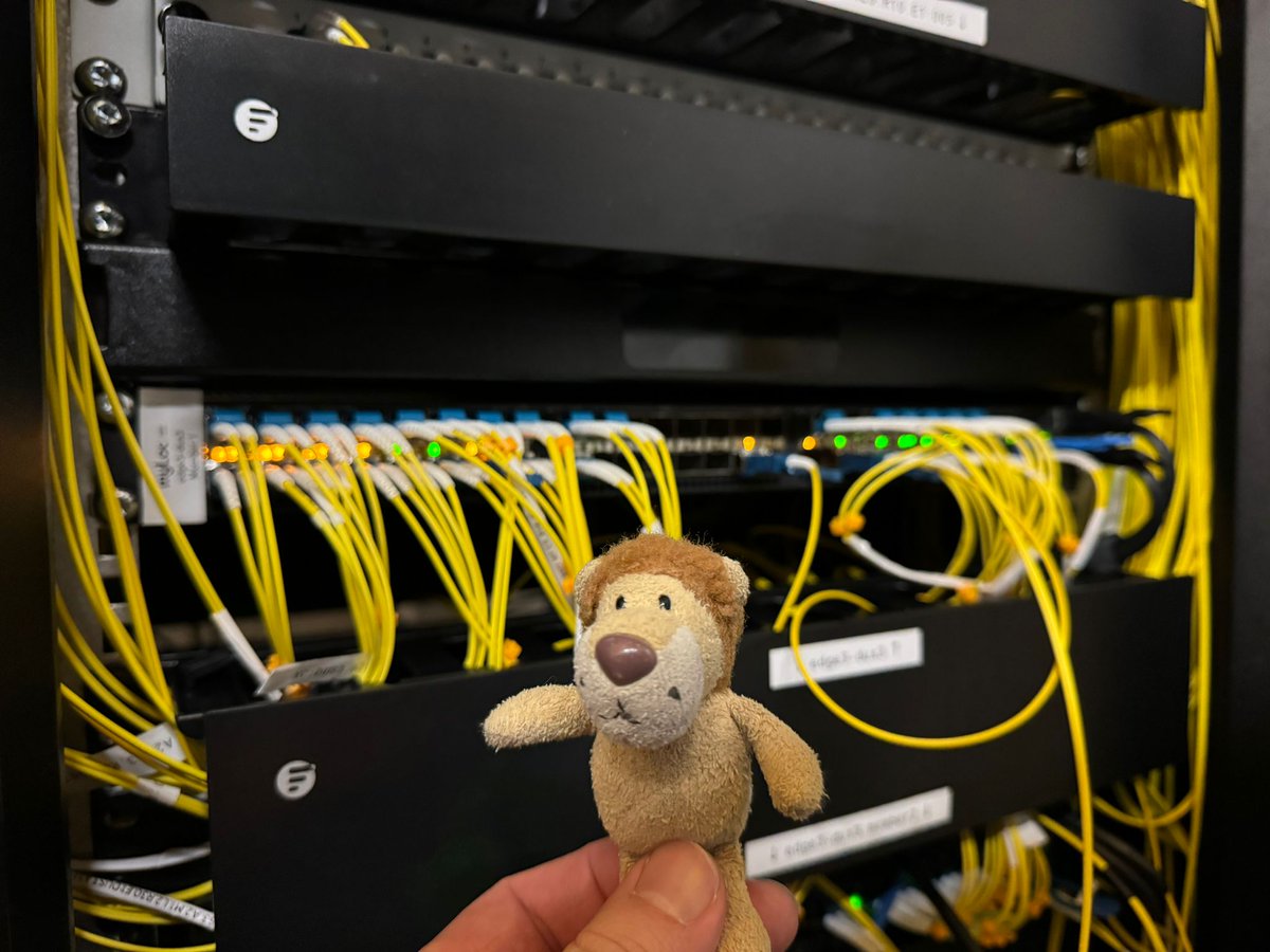 So, alles erledigt.
<a href="/Ludwig_Loewe/">Ludwig Loewe ✈️ - Reiselöwe & Abenteurer</a> konnte beim Einbau neuer Festplatten helfen, Kabel sortieren und ich konnte ihn gerade noch davon abhalten in die Glasfasern zu beißen 😉