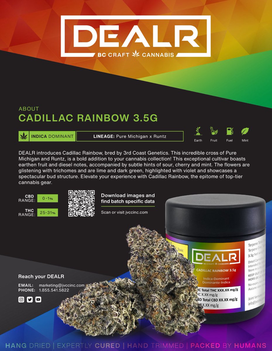 🔜 BC 👀
🌈CADILLAC RAINBOW 💨