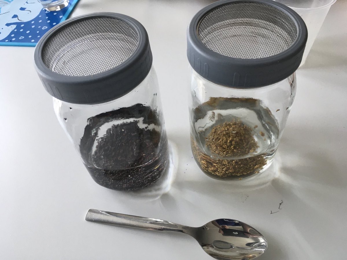 RachelVT42's tweet image. Another thing we did on our homeschooling day today is sprouting. Broccoli and alfalfa seeds here.

We do it on a regular basis, it’s a great activity to teach kids how food grows, how we have to be patient, how to measure quantities, etc.

We also use cooking activities in our