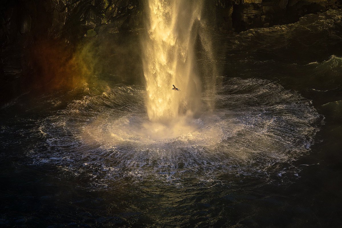 Felix 📷 tweet media