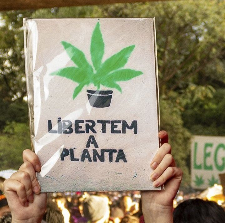 #descriminalizabrasil