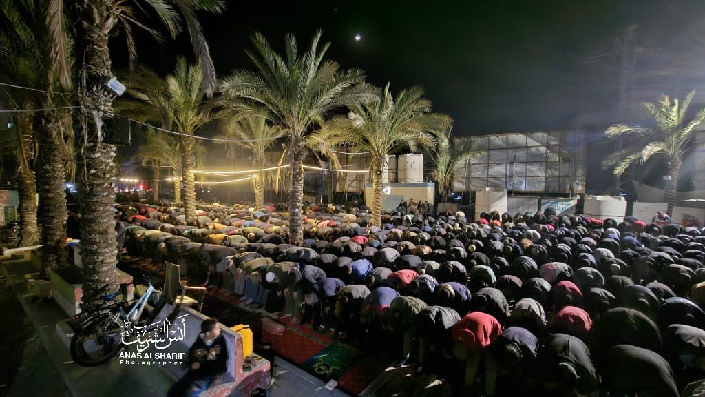 نُسَيبة tweet media