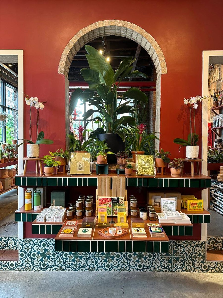 Agate00Cutie's tweet photo. Mexican-style red wall
The plants look more alive here
The store that sells the biggest pot of spring rain doesn’t sell it. So there is no valuation
But even if I could afford it, I wouldn’t be able to put it in my home. I will visit it often https://t.co/nBm5EUUkoc