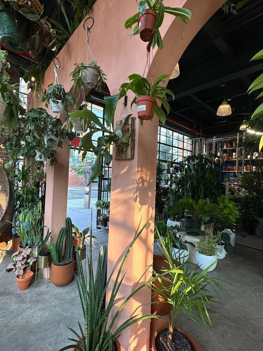 Mexican-style red wall
The plants look more alive here
The store that sells the biggest pot of spring rain doesn’t sell it. So there is no valuation
But even if I could afford it, I wouldn’t be able to put it in my home. I will visit it often